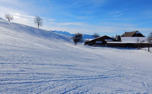 23. Januar 2017

