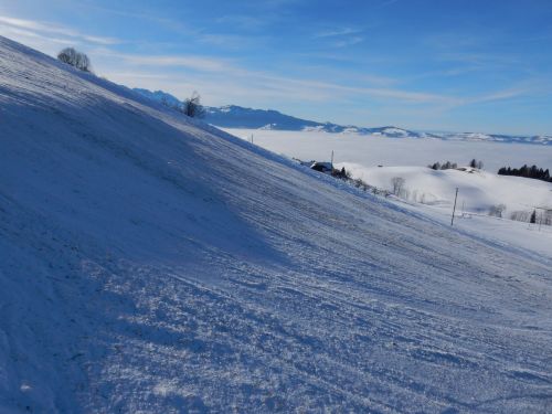 23. Januar 2017
