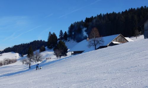 23. Januar 2017
