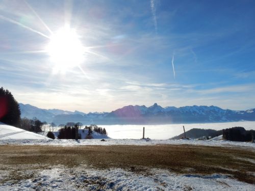 23. Januar 2017
