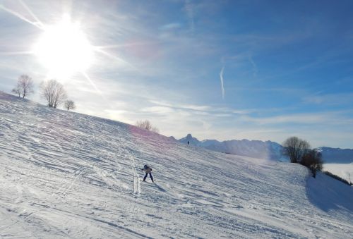 23. Januar 2017

