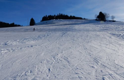 23. Januar 2017
