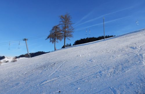 23. Januar 2017
