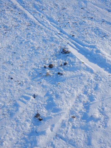 23. Januar 2017
