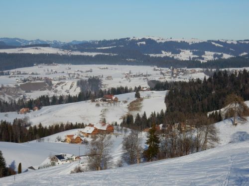 23. Januar 2017
