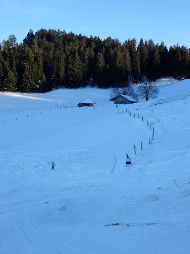 23. Januar 2017
