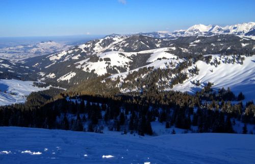 18. Februar 2013
