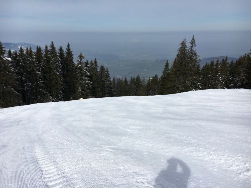 15. März 2016
