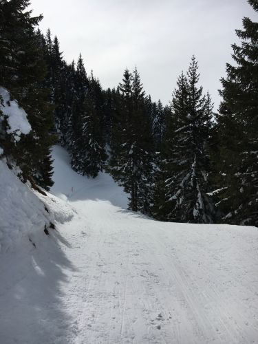 15. März 2016
