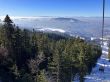 20230212-la-berra-5275.jpg