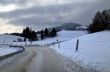 20230129-la-chia-012.jpg