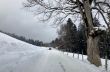20230129-la-chia-019.jpg