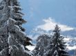 20230129-la-chia-064.jpg