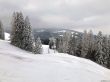 20230129-la-chia-071.jpg