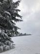 20230129-la-chia-073.jpg