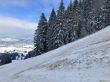 20230129-la-chia-099.jpg