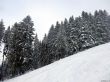 20230129-la-chia-161.jpg