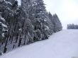 20230129-la-chia-165.jpg