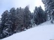 20230129-la-chia-170.jpg