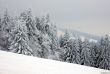 20230129-la-chia-198.jpg