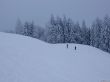 20230129-la-chia-202.jpg