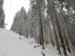 20230129-la-chia-229.jpg