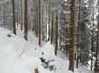 20230129-la-chia-230.jpg