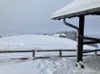20230129-la-chia-262.jpg
