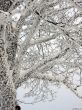 20230129-la-chia-266.jpg