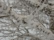 20230129-la-chia-267.jpg