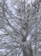 20230129-la-chia-268.jpg