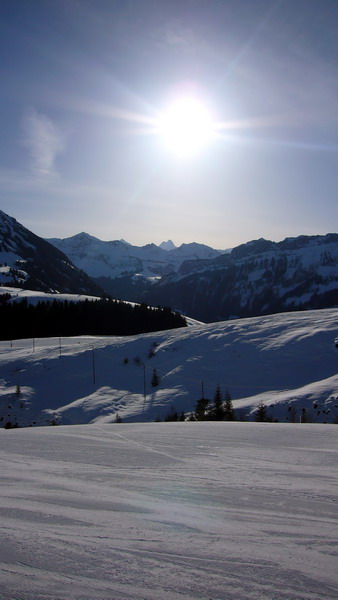 20090114-b-marbach-0726.jpg