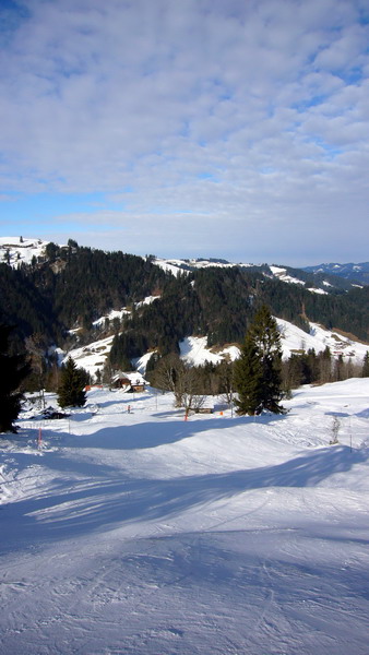 20090114-b-marbach-0800.jpg
