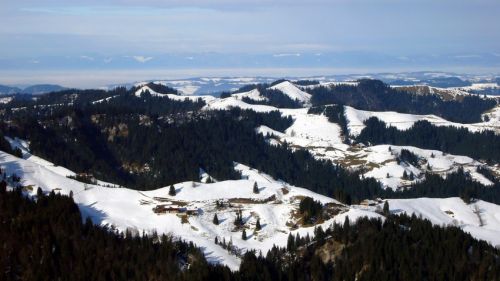 20090114-b-marbach-0795.jpg