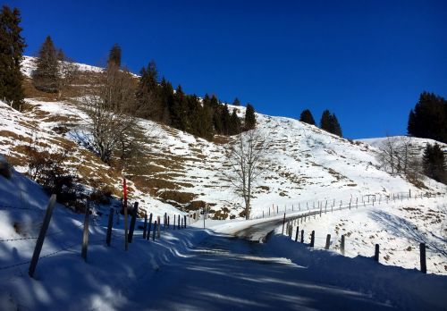 21. Januar 2017
