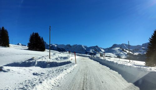 21. Januar 2017
