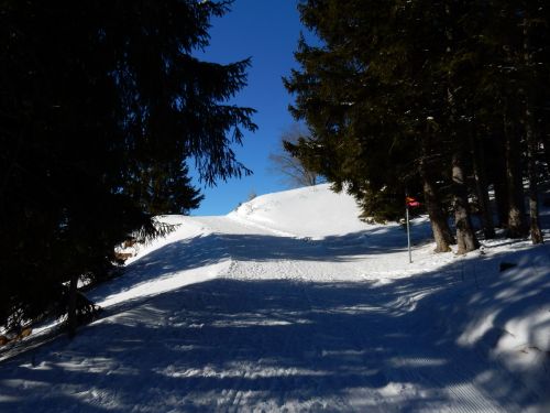Zum Lift hochkraxeln
