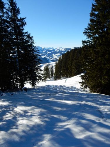 21. Januar 2017
