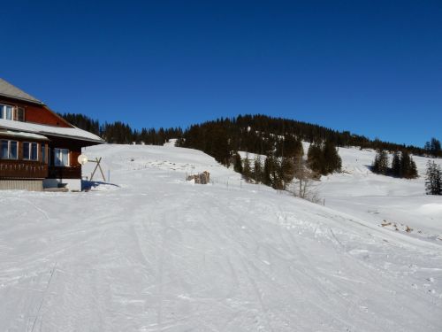 21. Januar 2017
