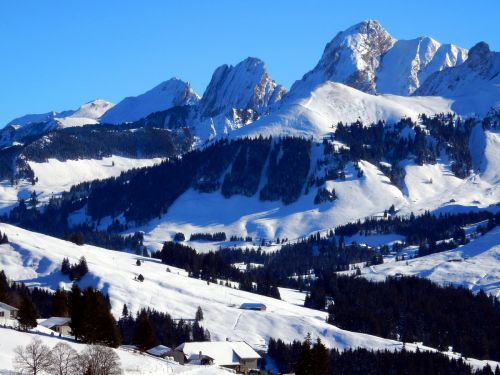 21. Januar 2017

