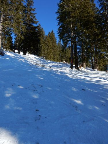 21. Januar 2017
