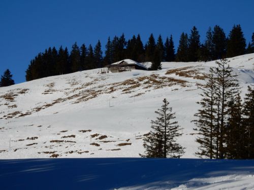 21. Januar 2017

