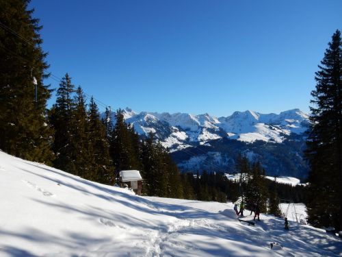 21. Januar 2017
