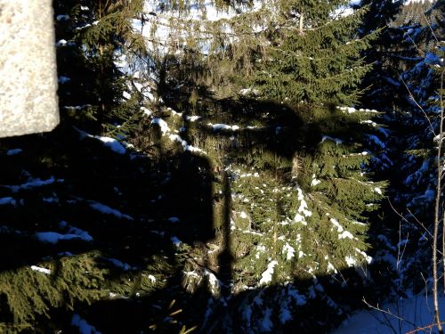21. Januar 2017
