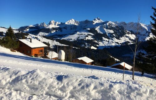 21. Januar 2017
