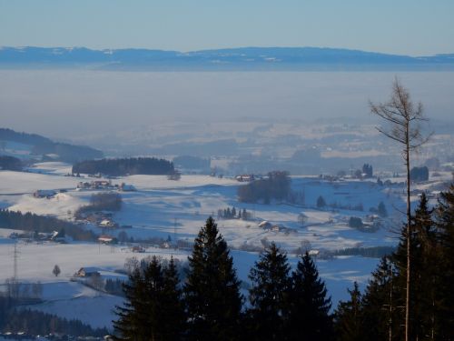21. Januar 2017
