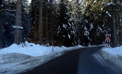 ... durch einen Wald...
