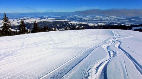 17. Februar 2012
