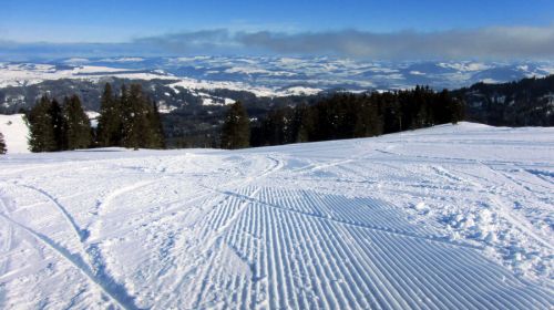 17. Februar 2012
