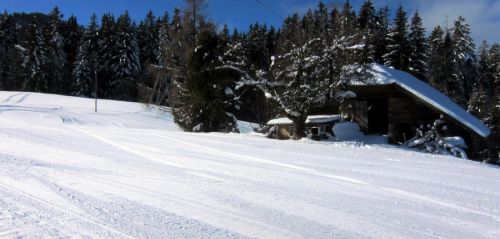 17. Februar 2012
